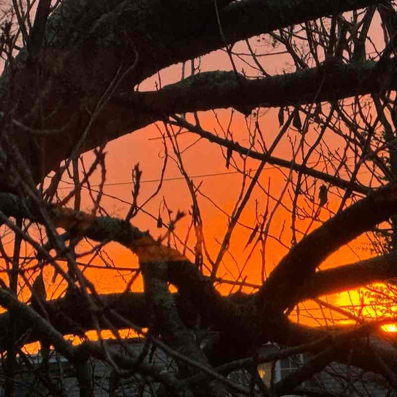 🇩🇪BEAUTIFUL  GERMANY🇩🇪 David - CRW 🇺🇸 post image