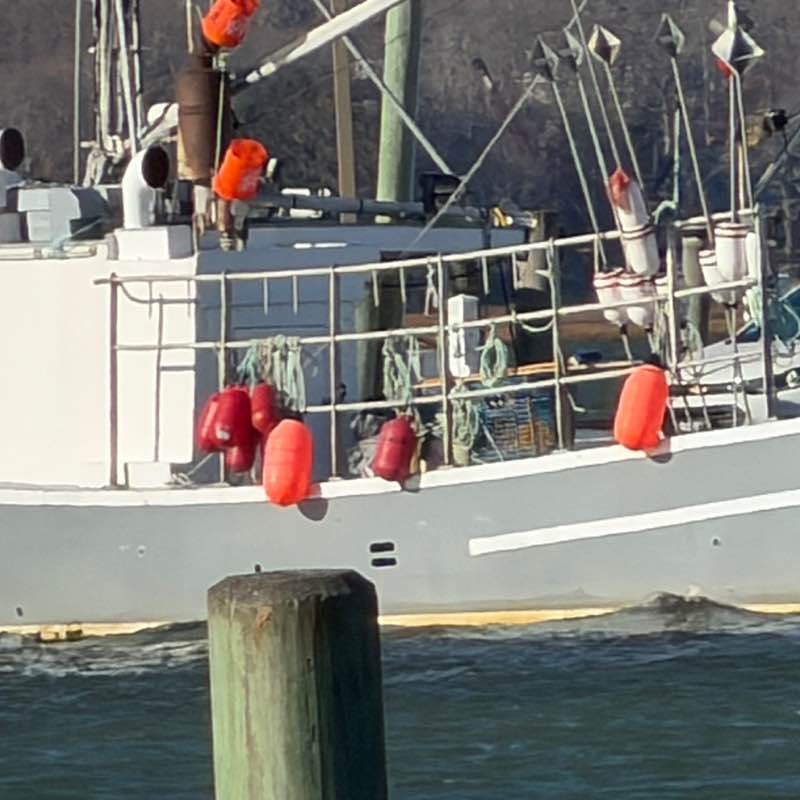 CatRockWriter David - CRW 🇺🇸 post image