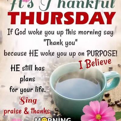 🦜BIRDWATCHERS🦜 David - CRW 🇺🇸 post image