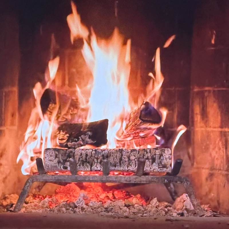 🦜BIRDWATCHERS🦜 David - CRW 🇺🇸 post image