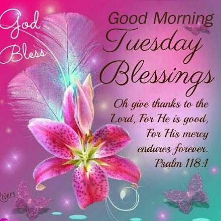 📸WALKS & PHOTOGRAPHY 📸 David - CRW 🇺🇸 post image