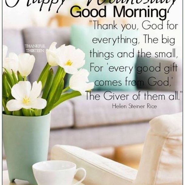 CatRockWriter David - CRW đşđ¸ post image