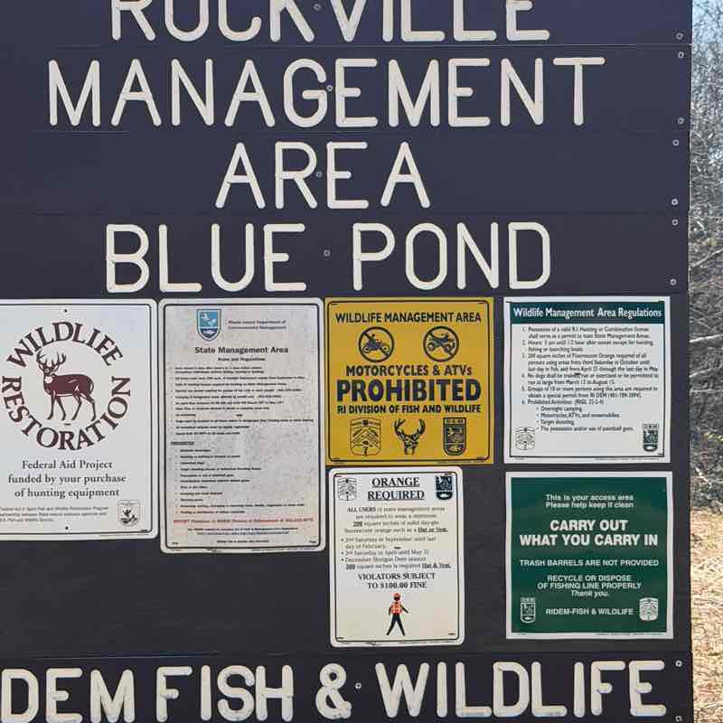 CatRockWriter David - CRW 🇺🇸 post image