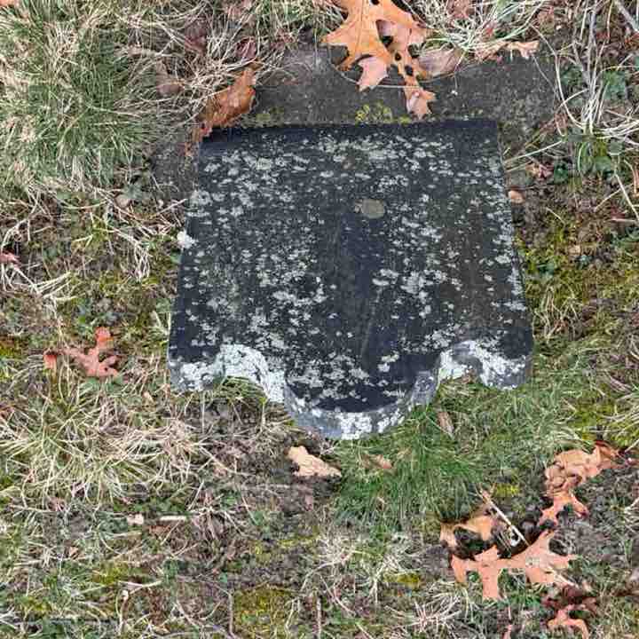 CatRockWriter David - CRW 🇺🇸 post image