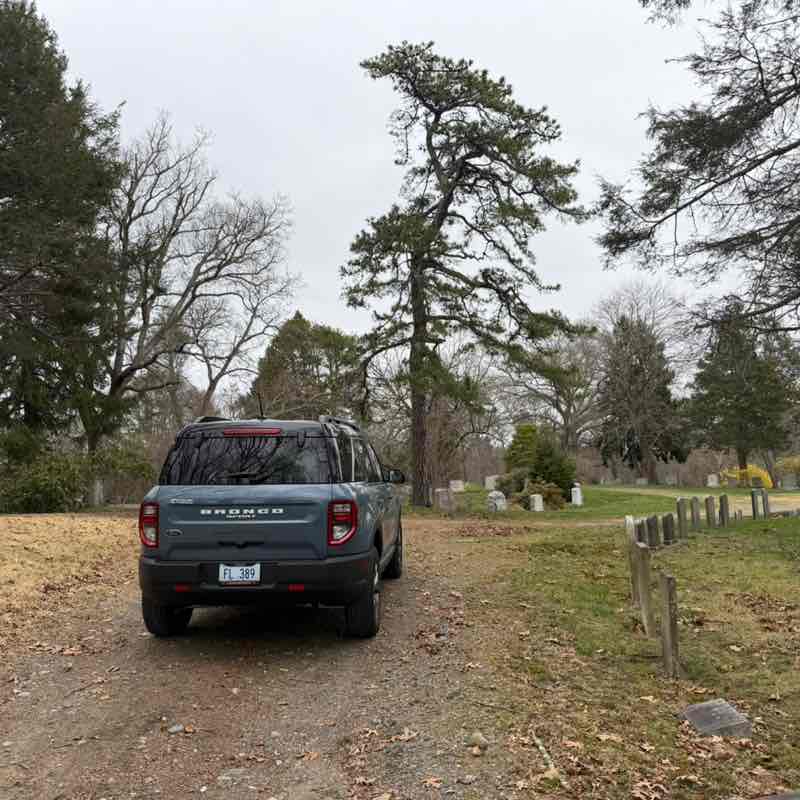 CatRockWriter David - CRW 🇺🇸 post image