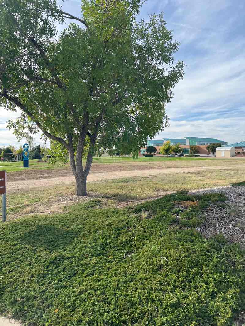 walking near me in Civic Center Park in autumn