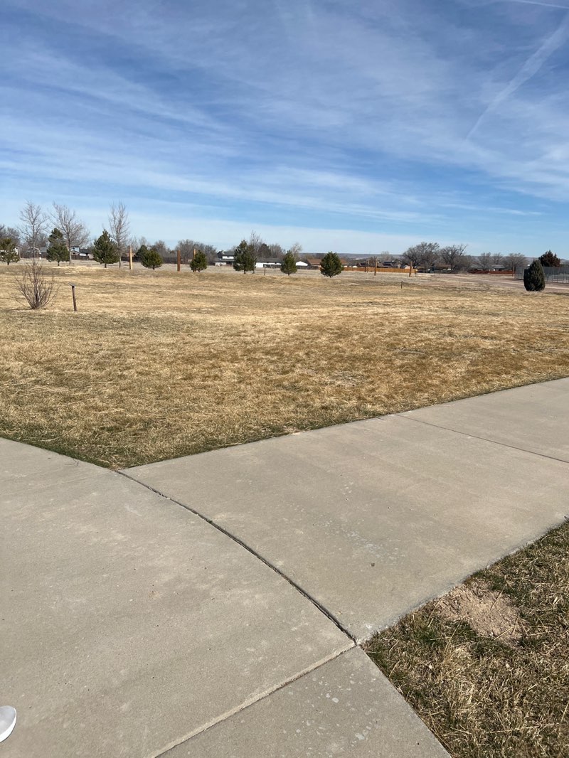 walking near me in Civic Center Park in winter