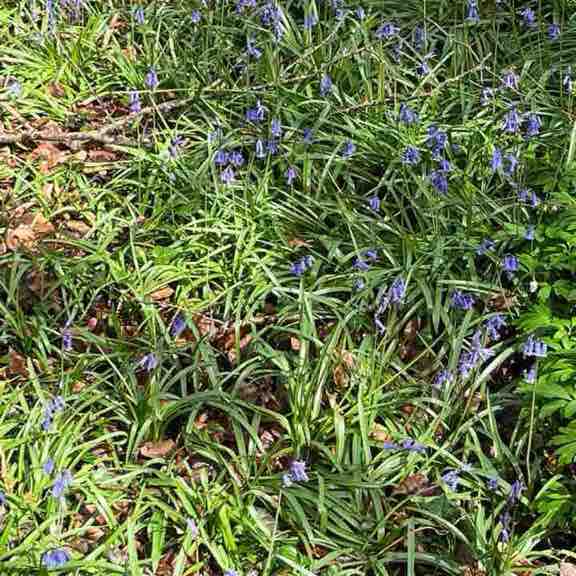 francesmartin26 post 2