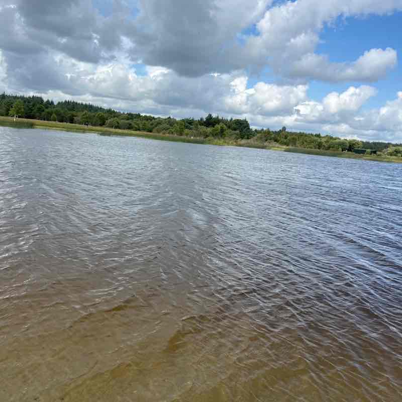 francesmartin26 post 2