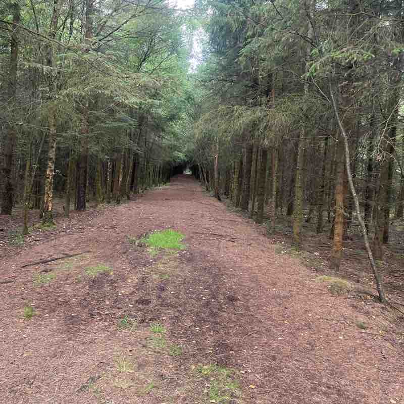 francesmartin26 post 3