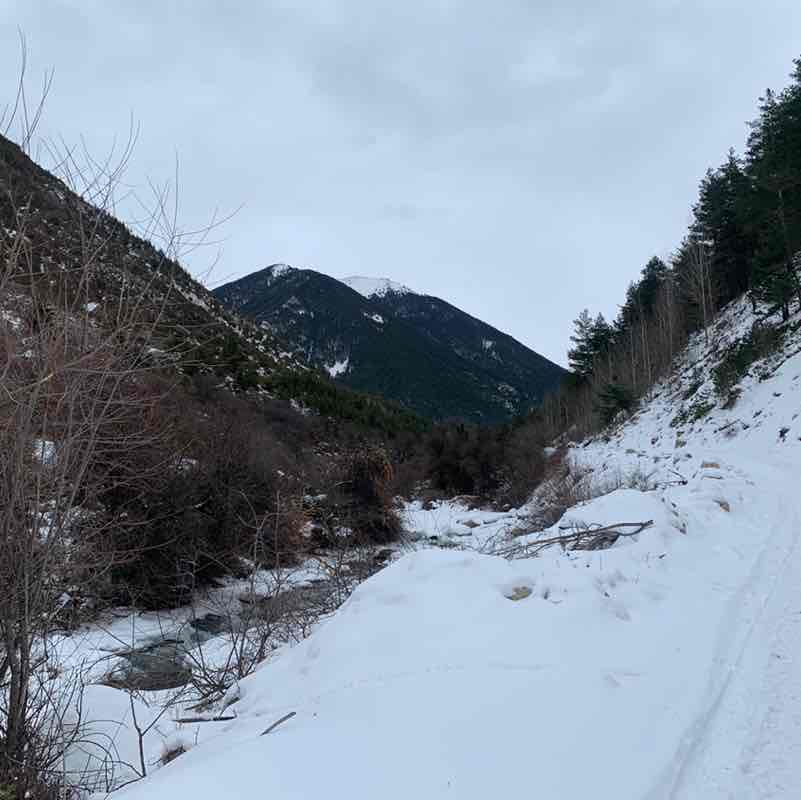 Алексей post 1