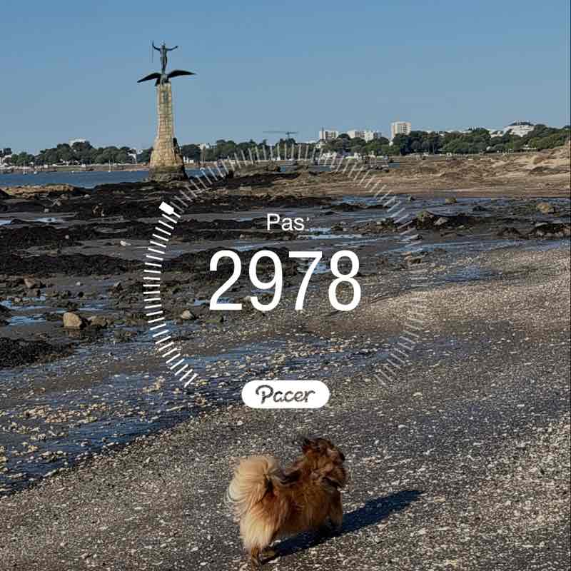 reginedurand2405 post 1