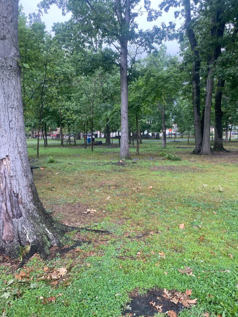 walking near me in North Hudson Park in summer