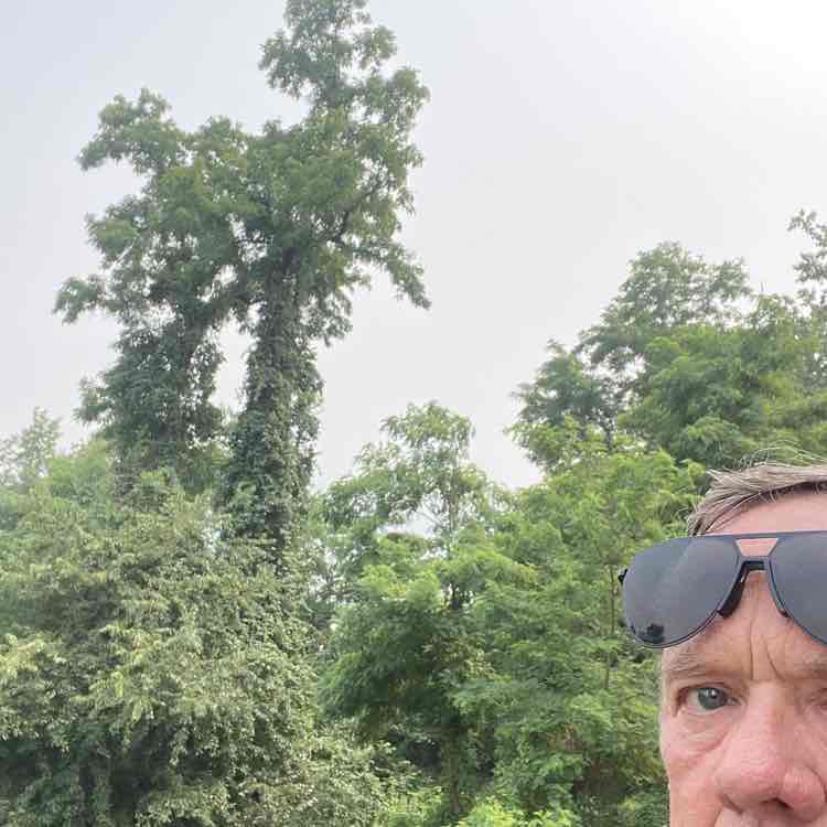 Joe post 1