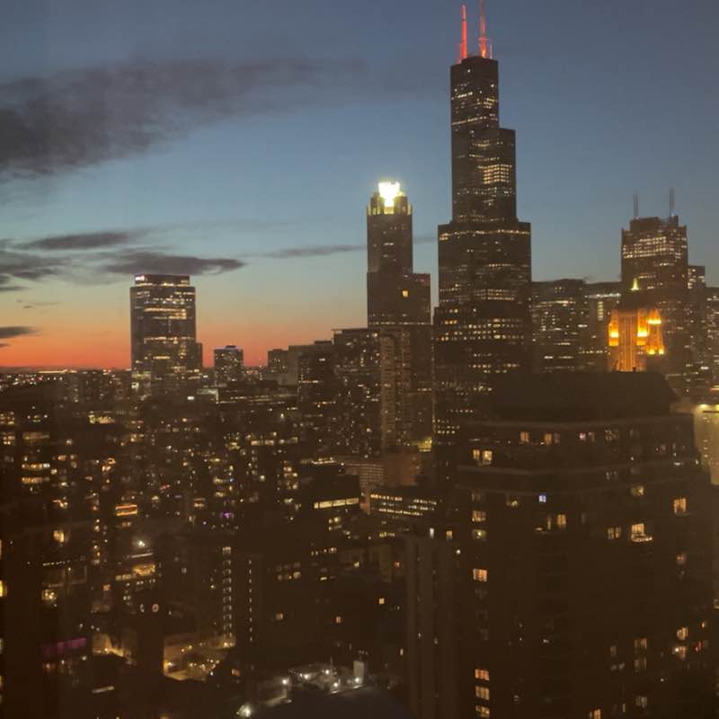 Walkin' Cockatoo post 1