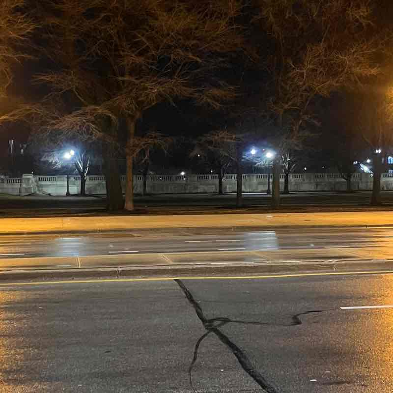 Walkin' Cockatoo post 1