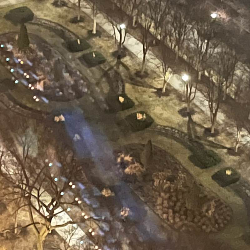 Walkin' Cockatoo post 1