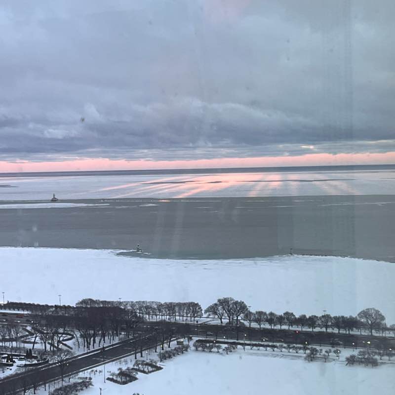 Walkin' Cockatoo post 1