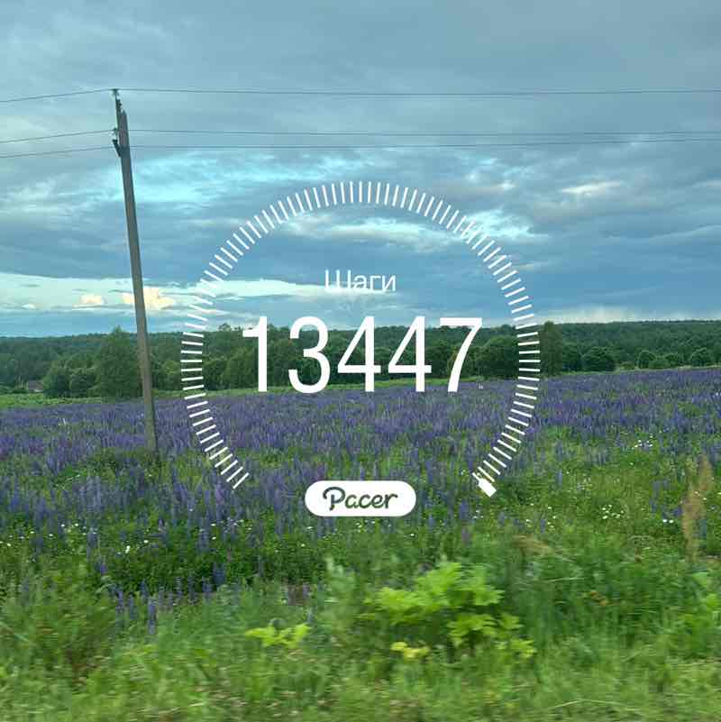 ۷คƖƙıཞı♡ post 1