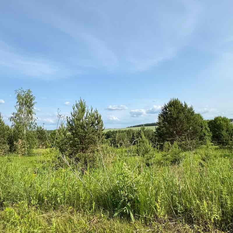 ۷คƖƙıཞı♡ post 2