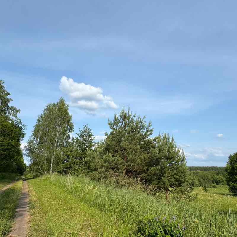 ۷คƖƙıཞı♡ post 3