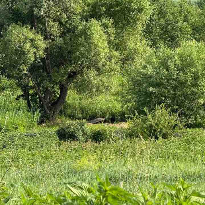 ۷คƖƙıཞı♡ post 1