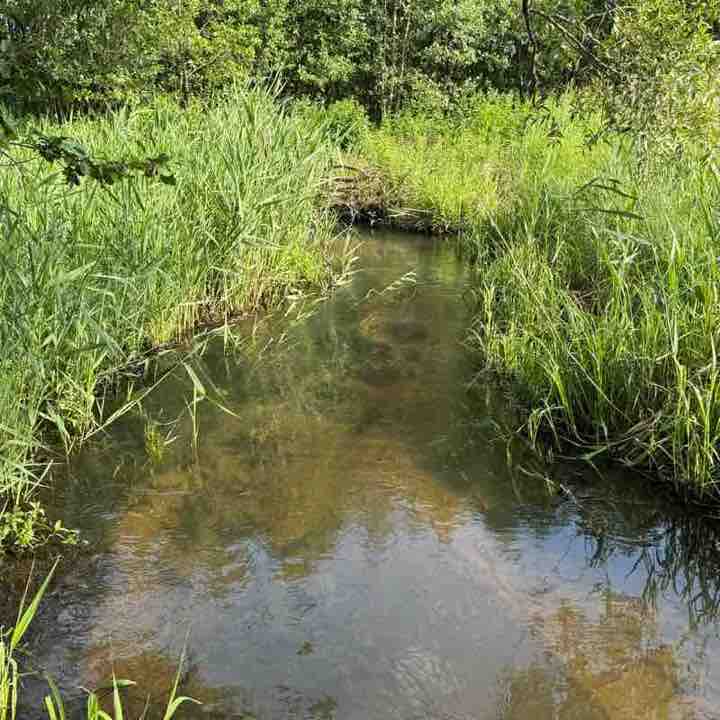 ۷คƖƙıཞı♡ post 2