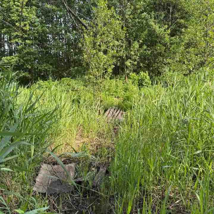 ۷คƖƙıཞı♡ post 3