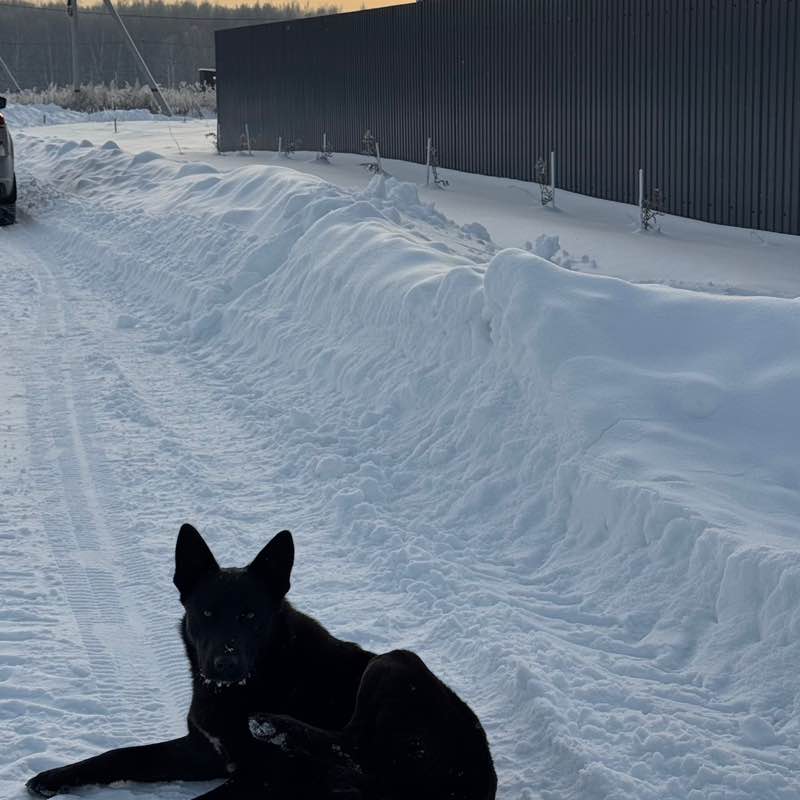 ۷คƖƙıཞı♡ post 2