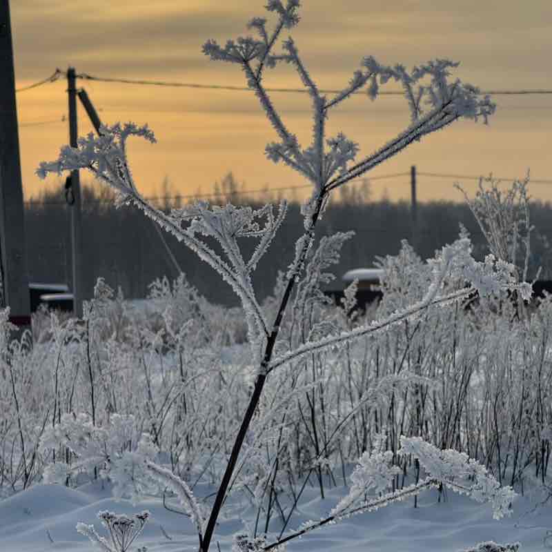 ۷คƖƙıཞı♡ post 1