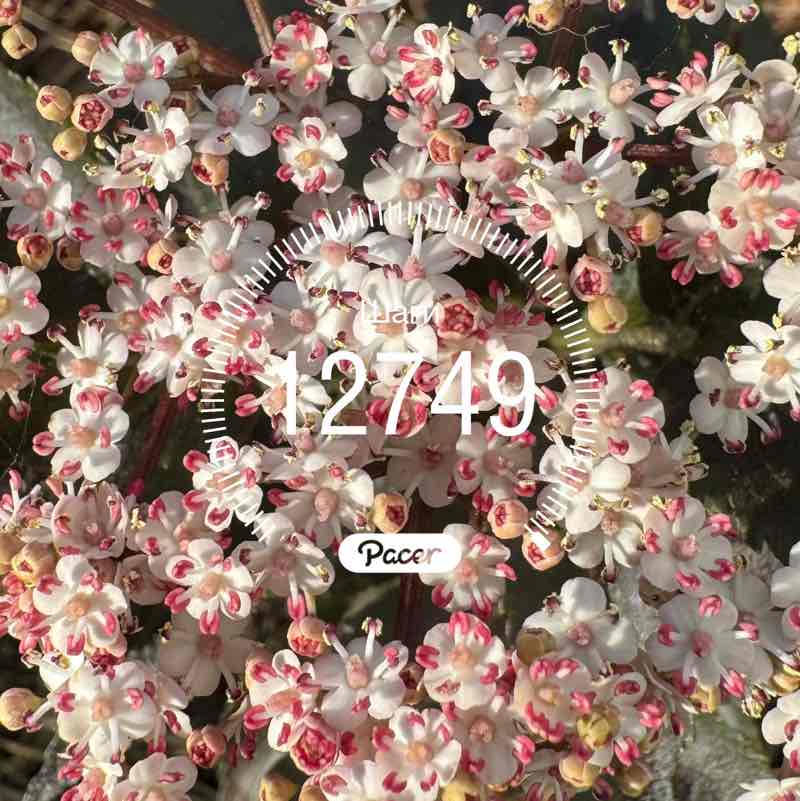 ۷คƖƙıཞı♡ post 1