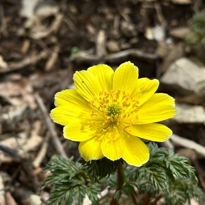 엄지발가락 post 3