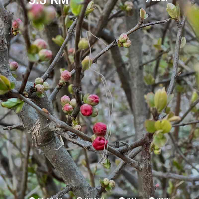 엄지발가락 post 1