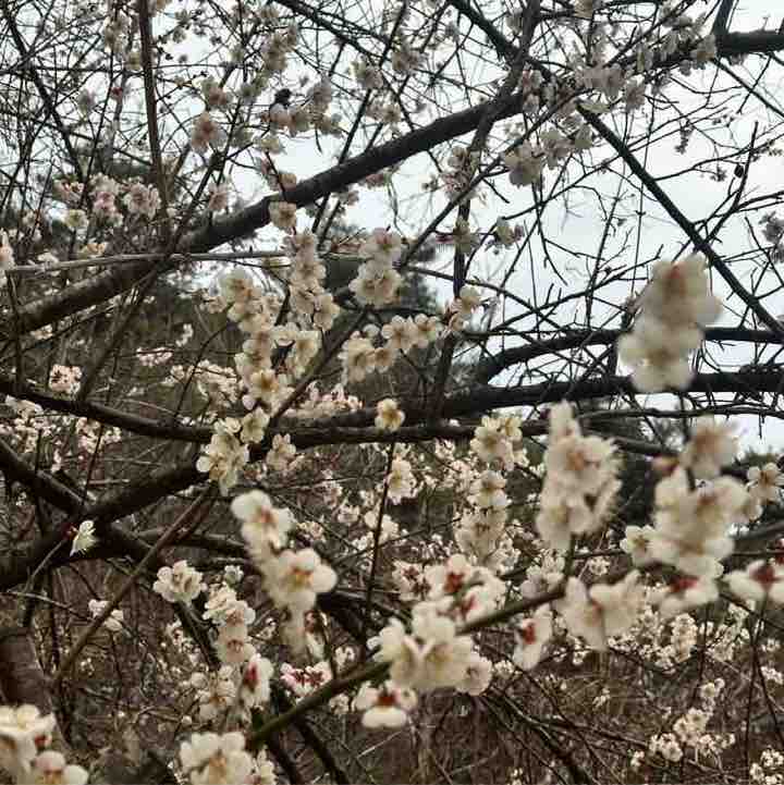 엄지발가락 post 2