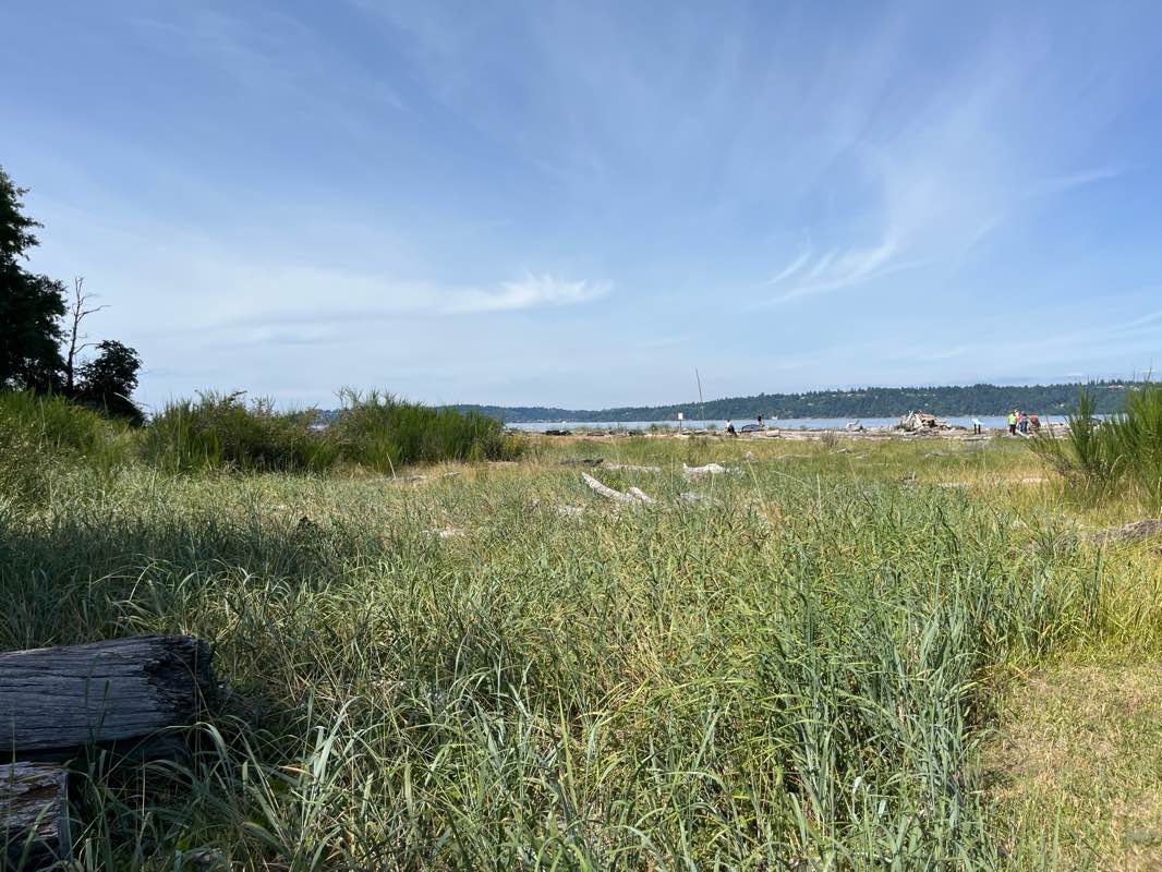 walking near me in Point Robinson Park in summer