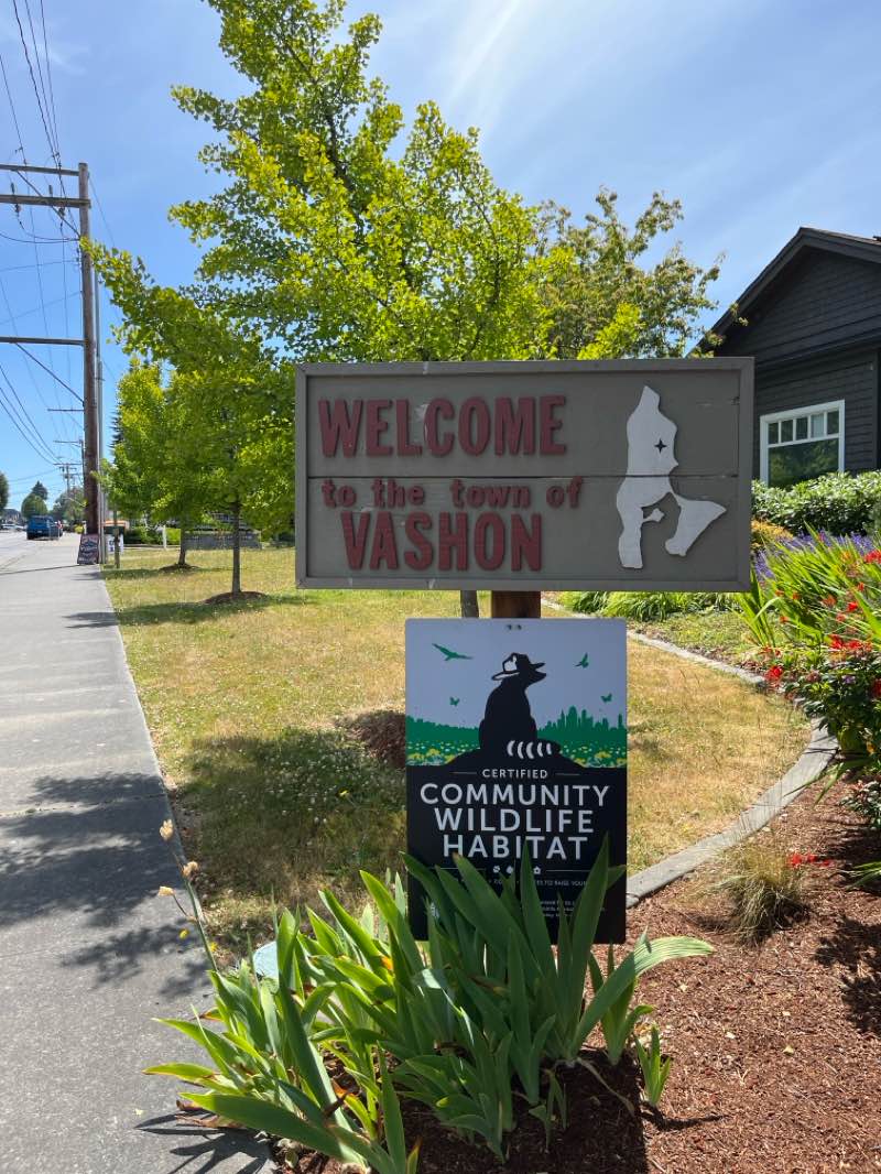 walking near me in Ober Park in summer