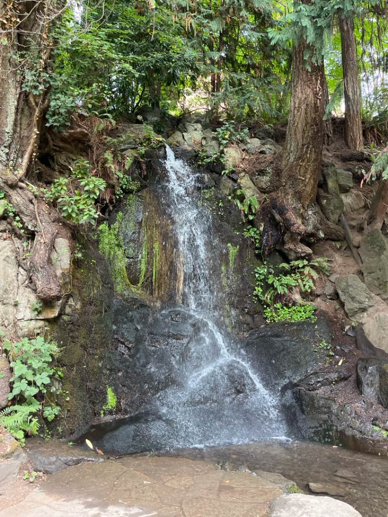 walking near me in Tumwater Falls Park in autumn