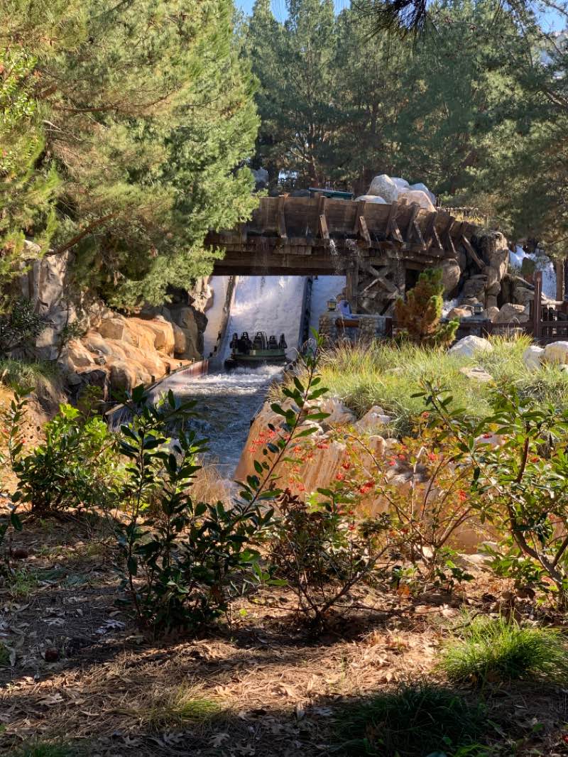 walking near me in Paradise Park in winter