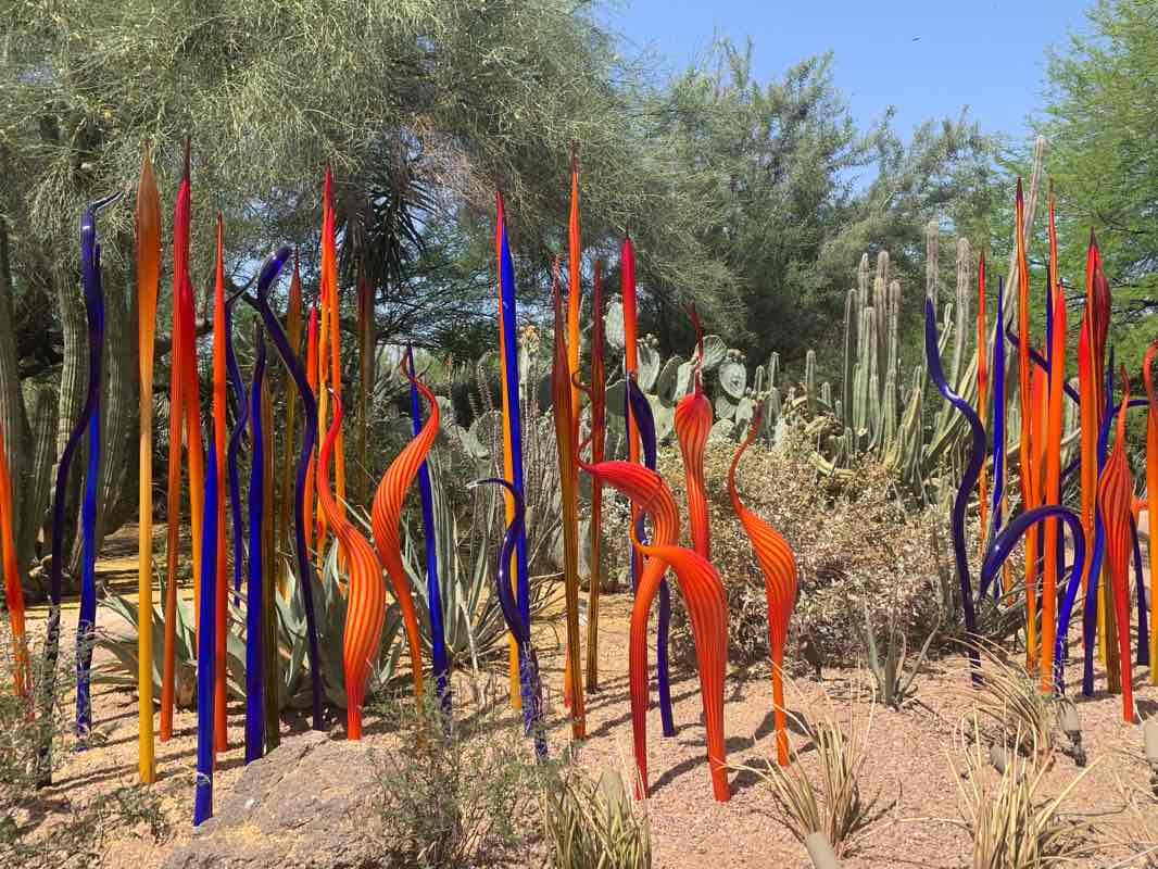 walking near me in Papago Park in winter