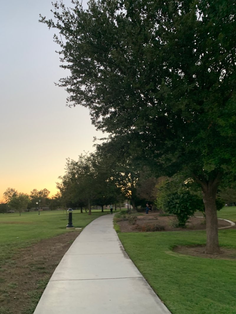 walking near me in Pioneer Park in winter