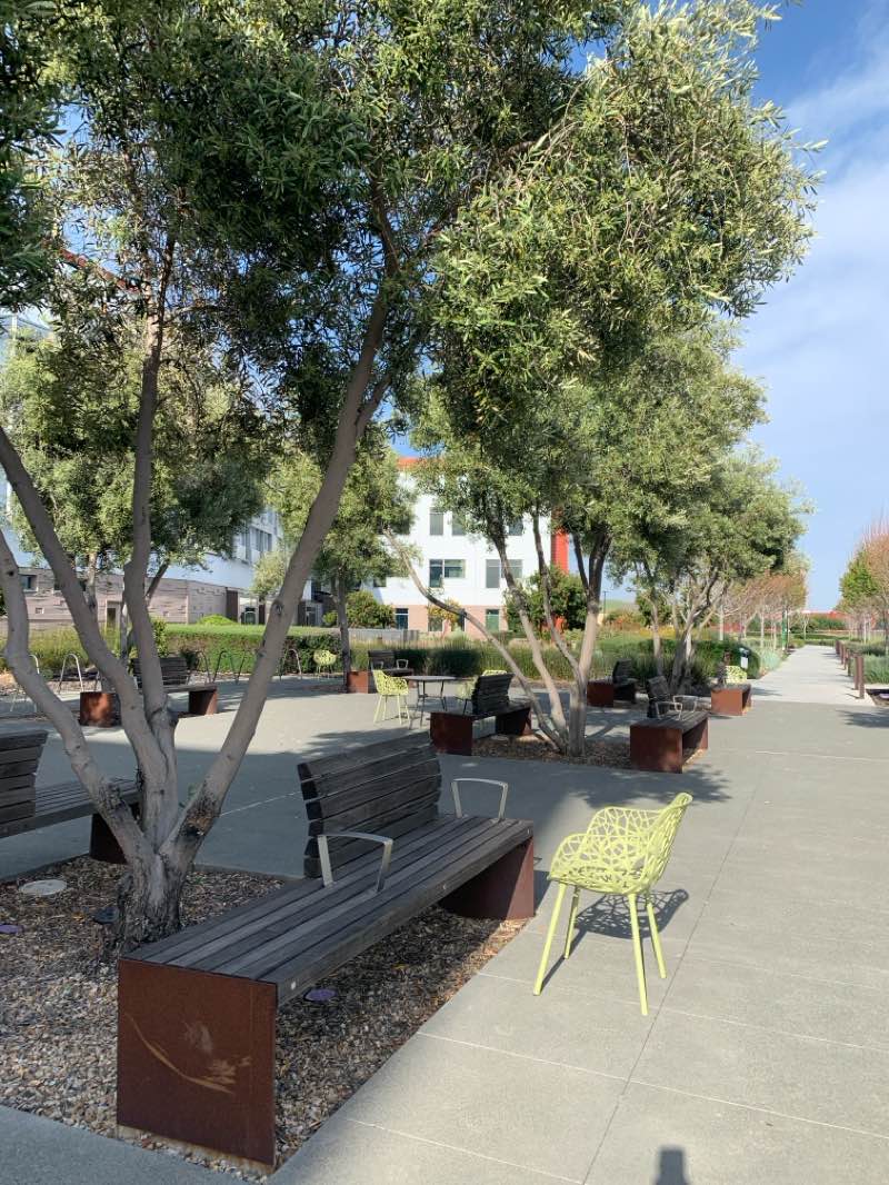 walking near me in Dublin Sports Grounds in spring