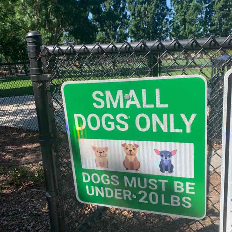 Gidget888 👧🏻🎈👣 post 1