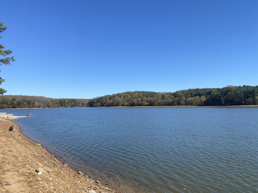 walking near me in Triadelphia Reservoir Recreation Area in autumn
