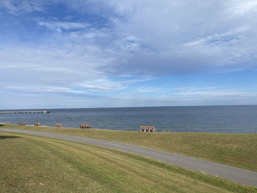 walking near me in Downs Memorial Park in autumn