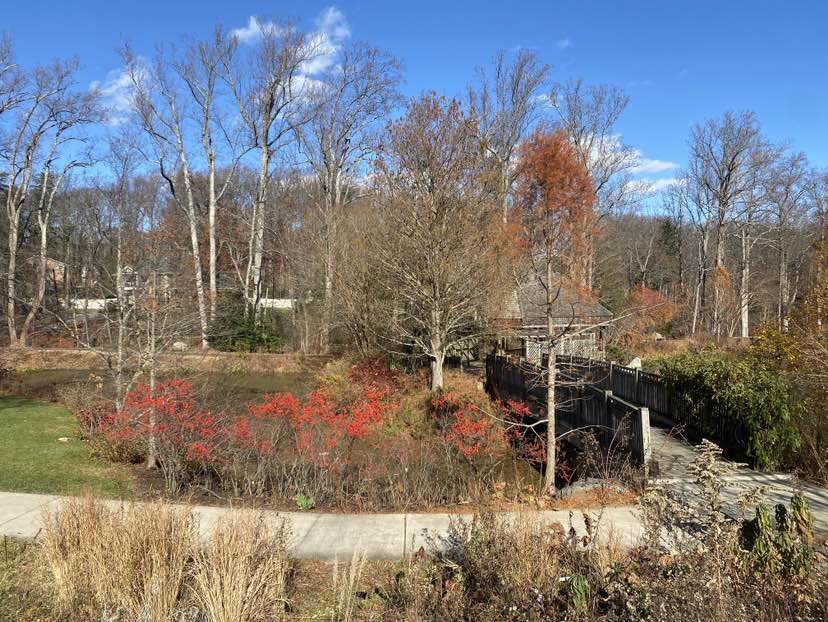 walking near me in Brookside Gardens in autumn
