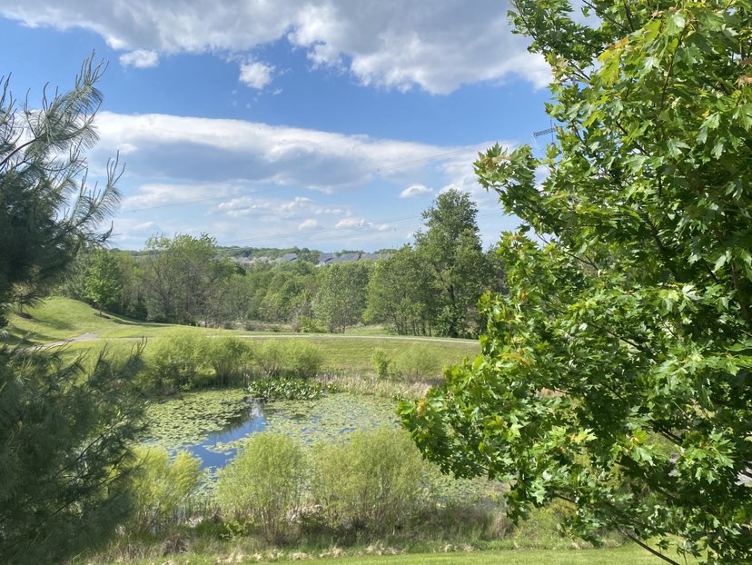 walking near me in Westside Park in spring