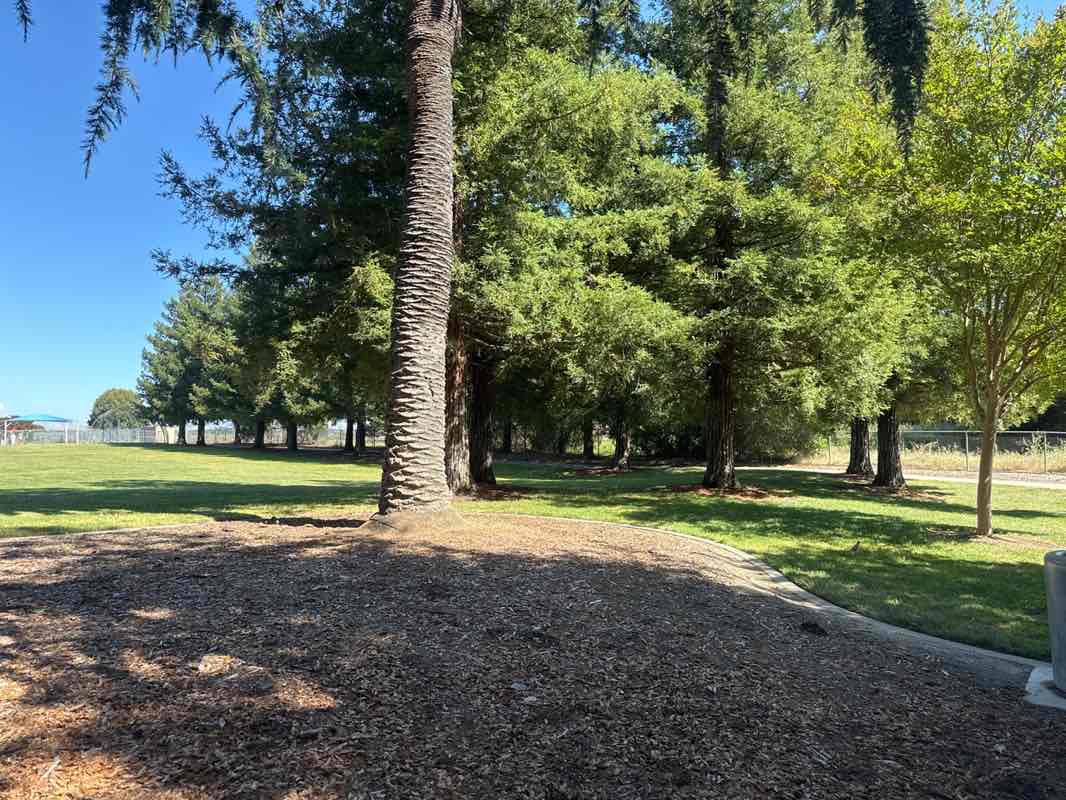 walking near me in Amaral Park in spring