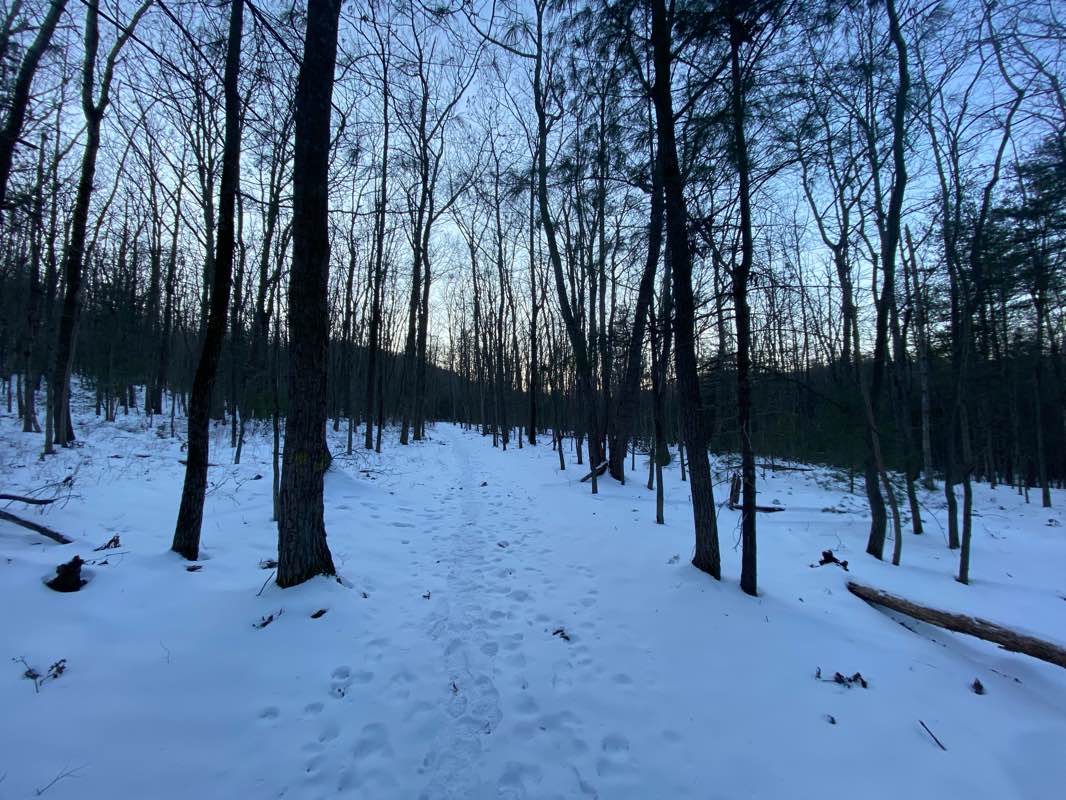 walking near me in Pine Grove Furnace State Park in winter