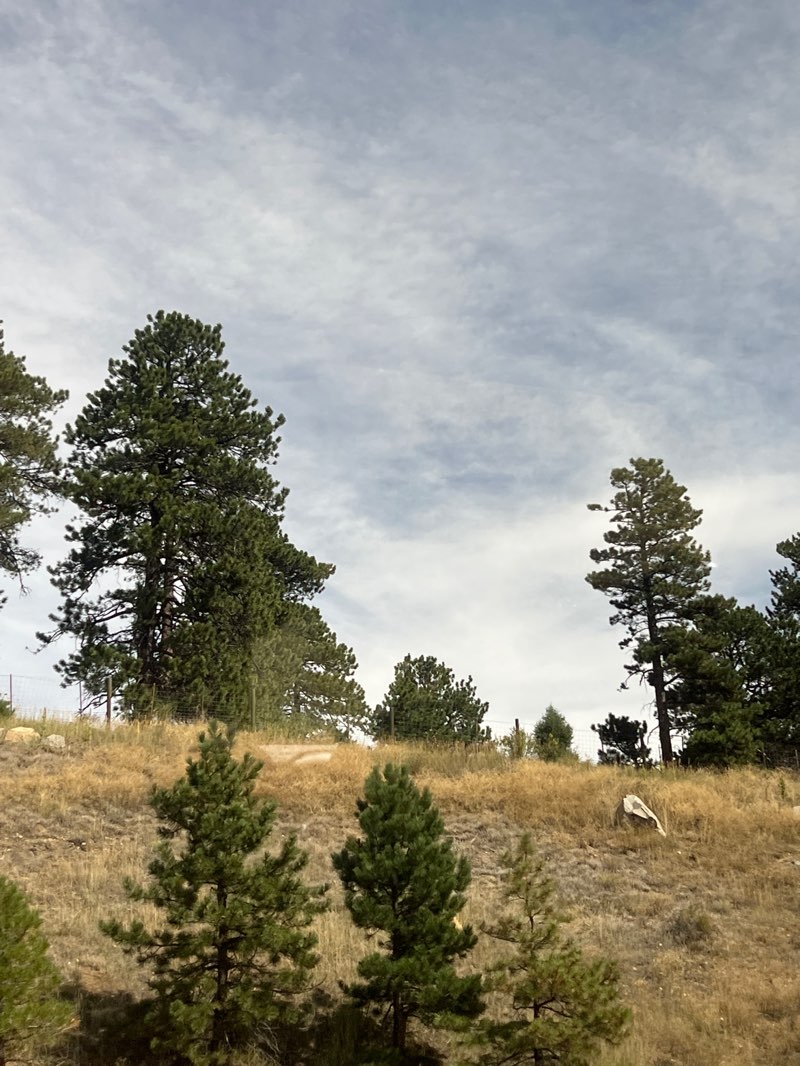 walking near me in Bergen Park in autumn