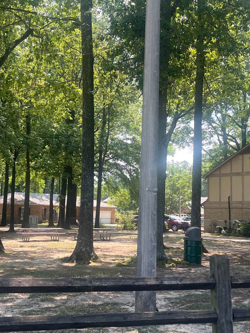 walking near me in Freeman Park in summer